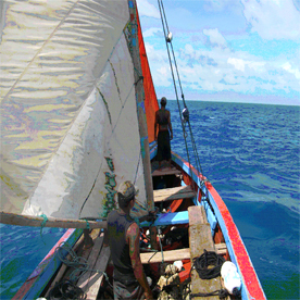 写真2 ウミガメ漁船とその乗組員